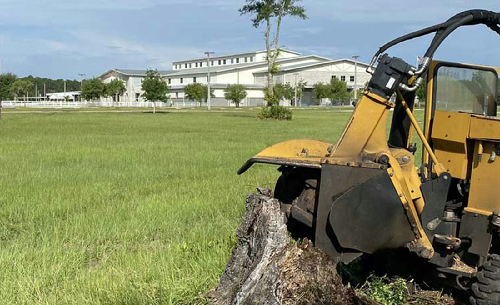 Stump grinder working on a tree stump in a grassy yard